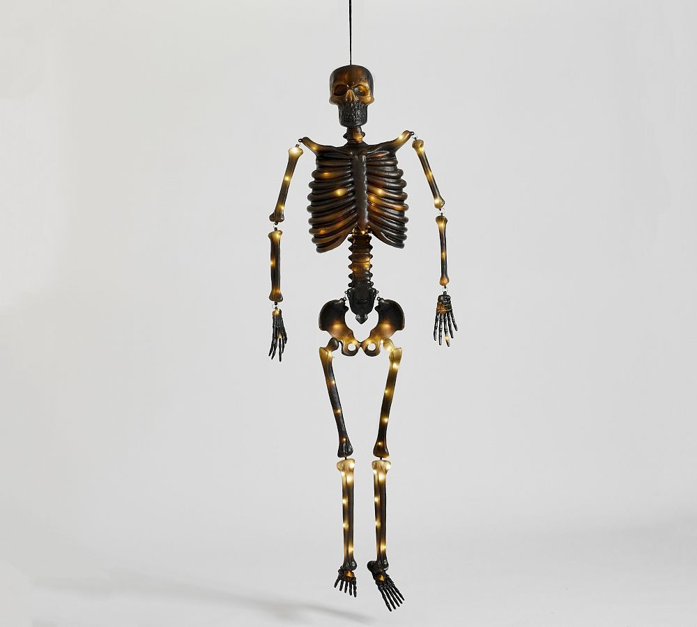 Lit Mr. Bones | Pottery Barn (US)