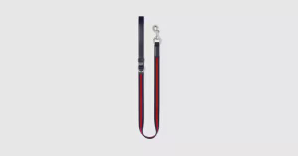 Small/medium pet leash | Gucci (US)