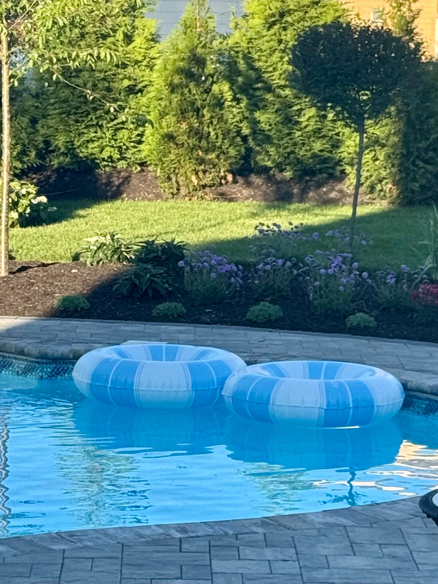 Funboy for summer fun! 

#LTKFamily #LTKGiftGuide #LTKSeasonal