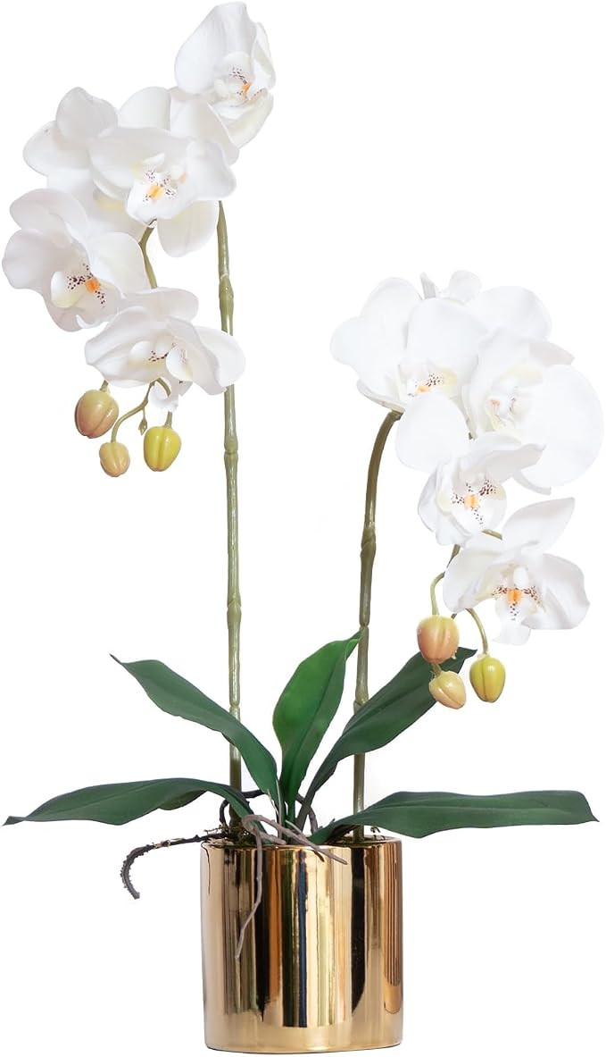 Artificial Orchid Flowers Set Fake Phalaenopsis Flower Faux Butterfly Orchid Real Touch Orchid fo... | Amazon (US)
