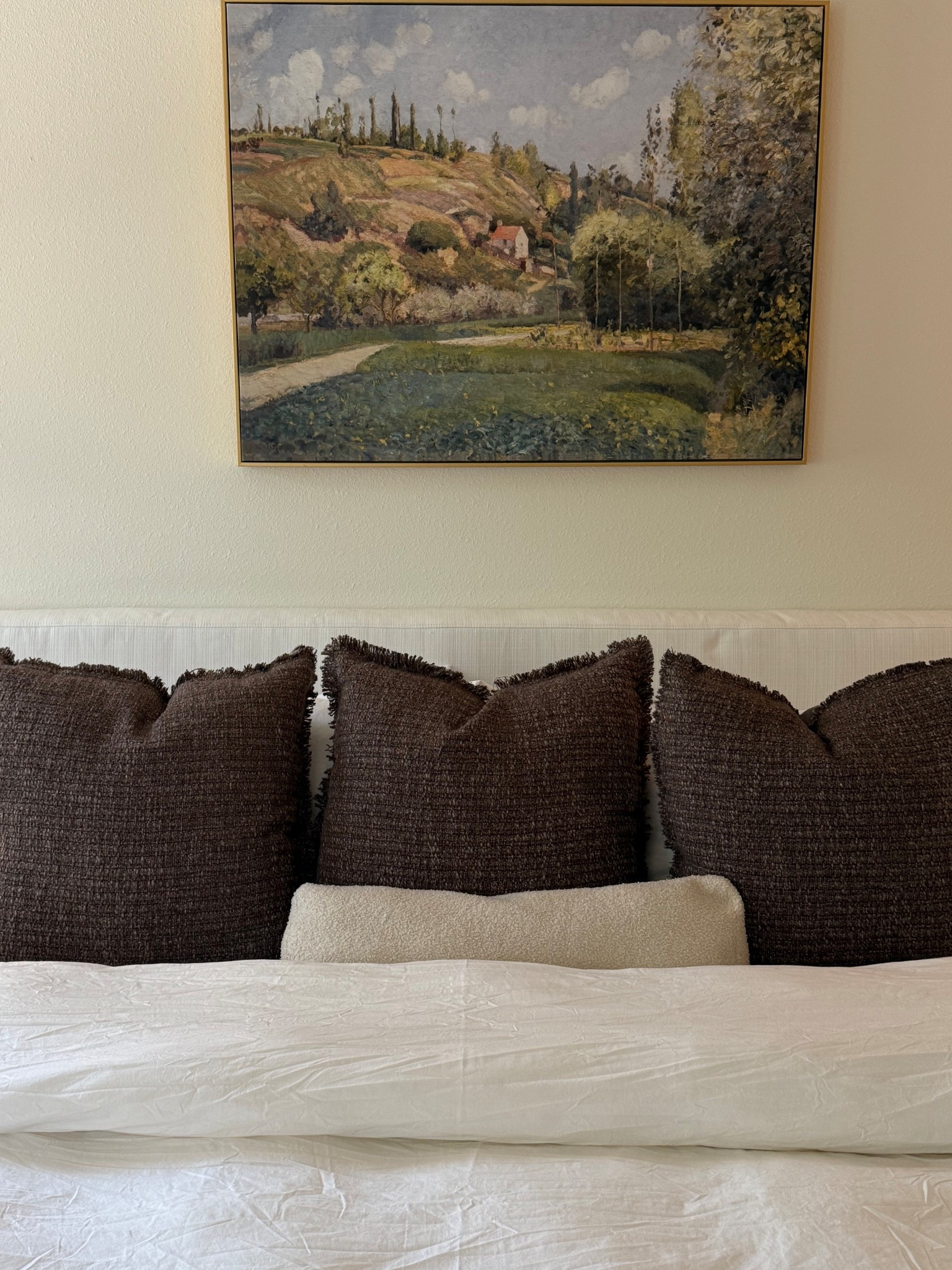 Bedroom Pillows 🧸🤎