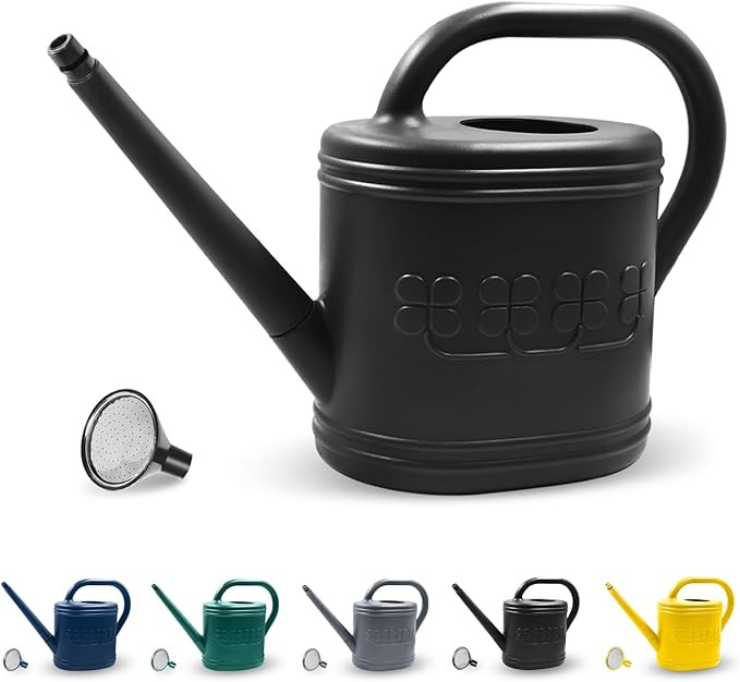 2 Gallon Watering Can, Outdoor Watering Can for Plants, Garden Water Can with Removable Long Spou... | Amazon (US)
