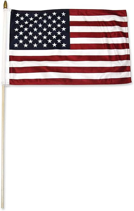 USA Stick Flags - One dozen stick flags - 12" x 18" | Amazon (US)