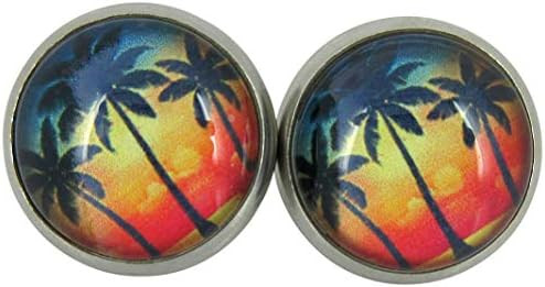 Summerfield Collection Stainless Steel Tropical Sunset Palm Tree Print Glass Stud Earrings 12mm | Amazon (US)