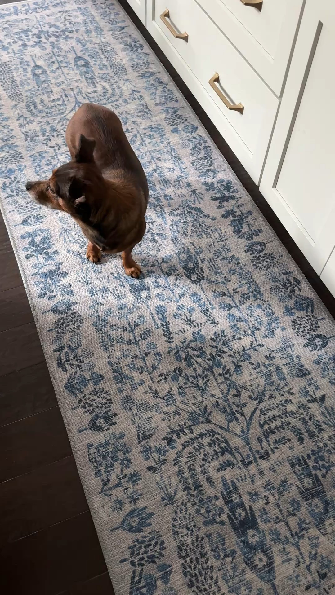 My latest kitchen runner (I love a blue and white rug!) is on sale under $70 and ships free! 

#LTKSaleAlert #LTKHome #LTKSeasonal