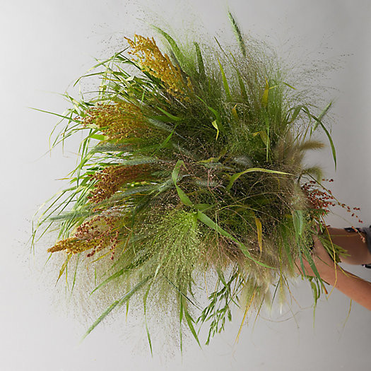 Fresh Grasses Bunch | Terrain