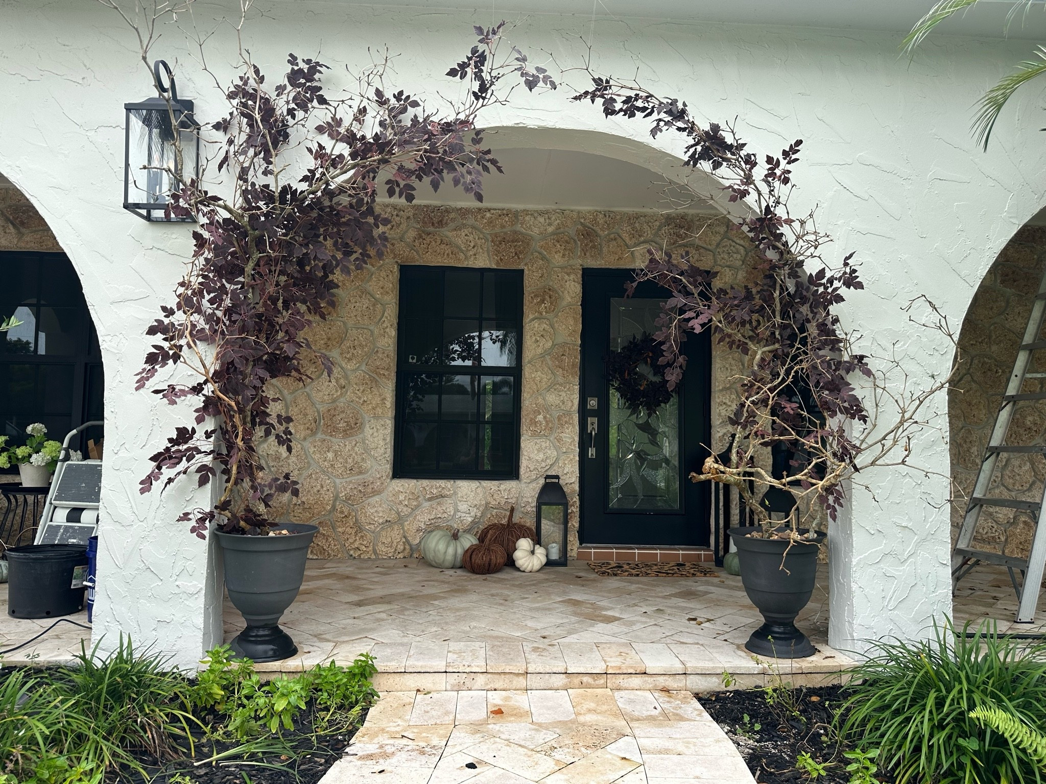 DIY Fall Arch part 2!

Fall front porch 
Fall front door
Fall entryway decor
Fall garland 
Autumn 
Plum leaves 
Fall florals

#LTKSeasonal #LTKHome #LTKSaleAlert