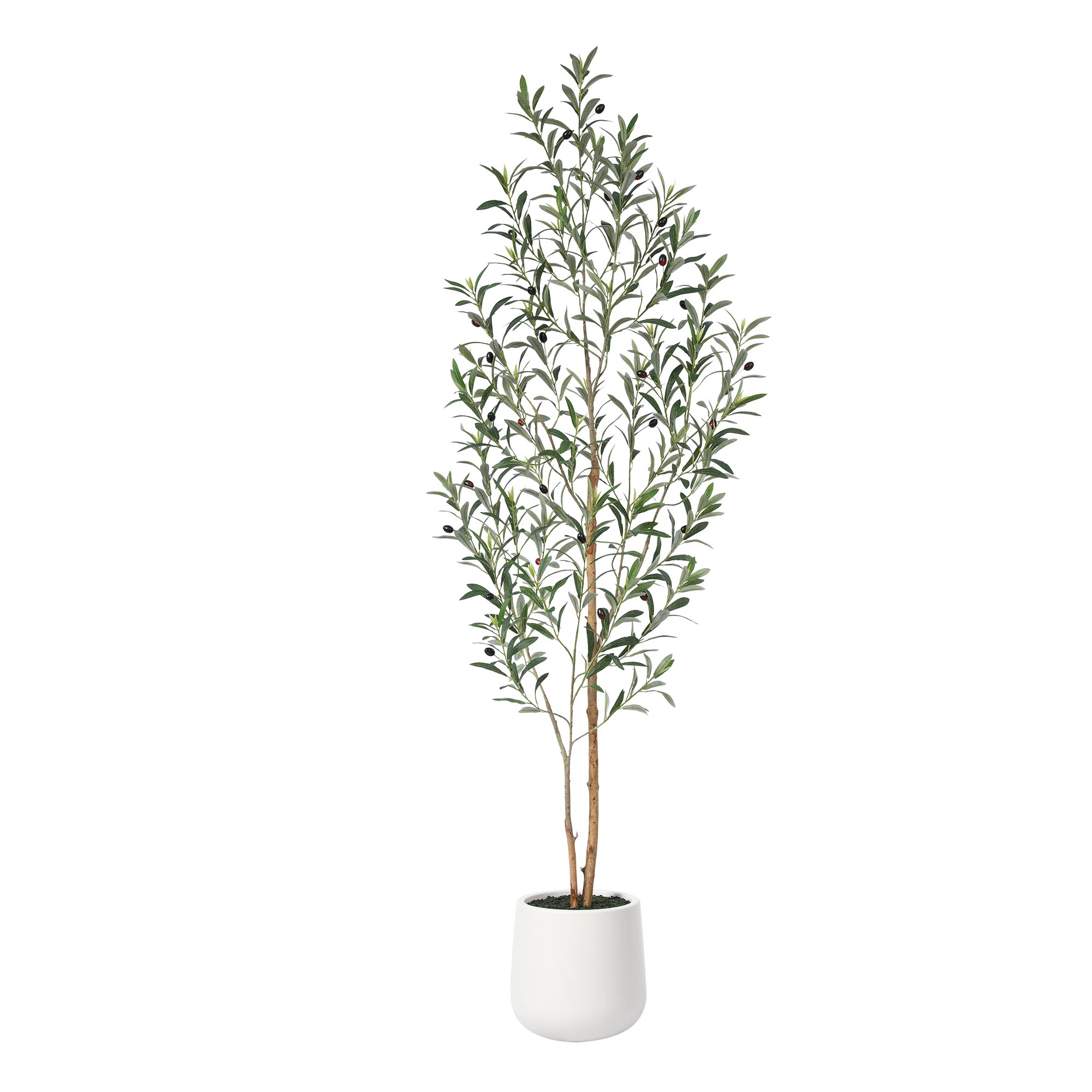 Adcock Artificial Olive Tree with White Planter, Tall Faux Olive Trees with Natural Wood Trunk | Joss & Main