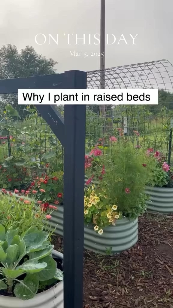 If you’re struggling with weeds, poor soil, or drainage… this is your sign to try raised beds.

They make gardening:
🌱 simpler
🌱 more manageable
🌱 way less overwhelming

And honestly? I’ll never go back.

I use beds from @vego_garden and @epicgardening and they’ve been amazing through Minnesota winters.

#gardeningforbeginners #raisedbeds #midwestgardener #gardeninspo #backyardgarden