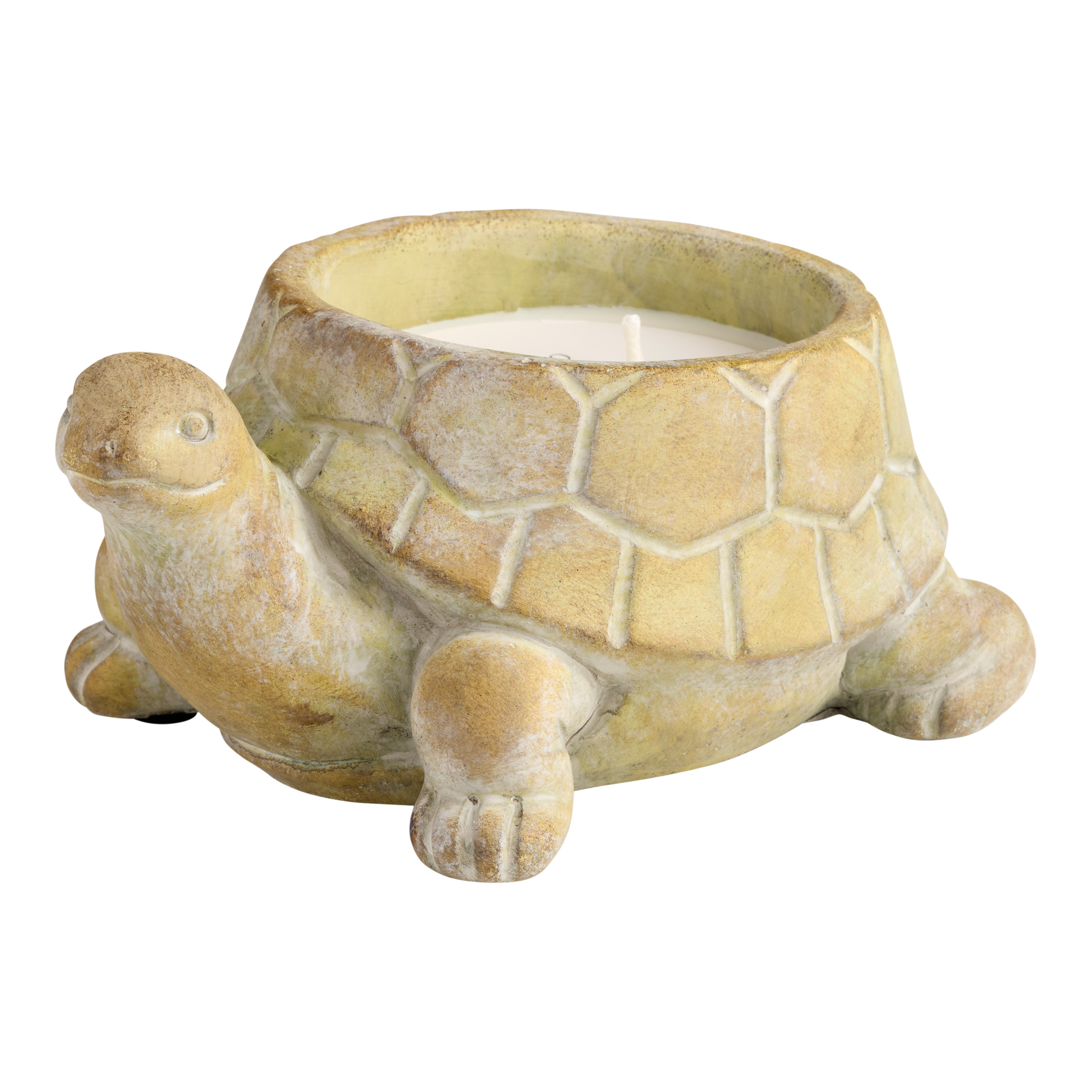 Cement Tortoise Limoncello Scented Citronella Candle | World Market