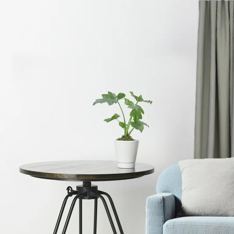 Mainstays Recycled Resin Planter With Attached Saucer, White, 4in x 4in x 4.5in | Walmart (US)