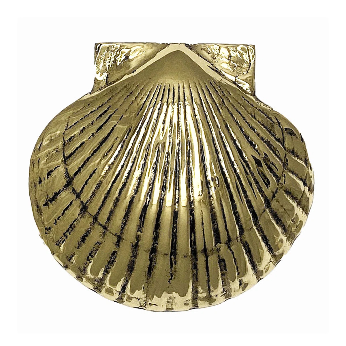 Scallop Door Knocker | Wayfair North America