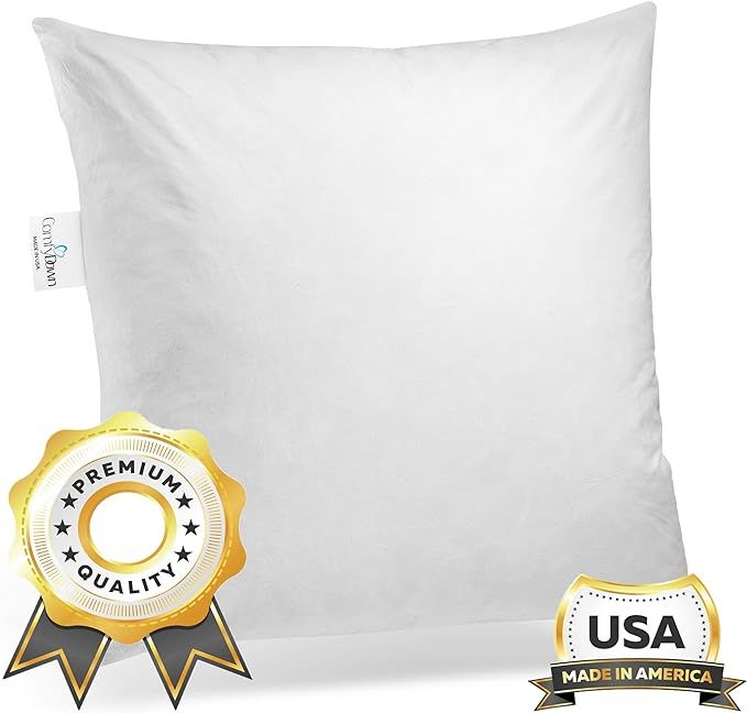 ComfyDown 95% Feather 5% Down, 20 X 20 Square Decorative Pillow Insert, Sham Stuffer - Made in US... | Amazon (US)