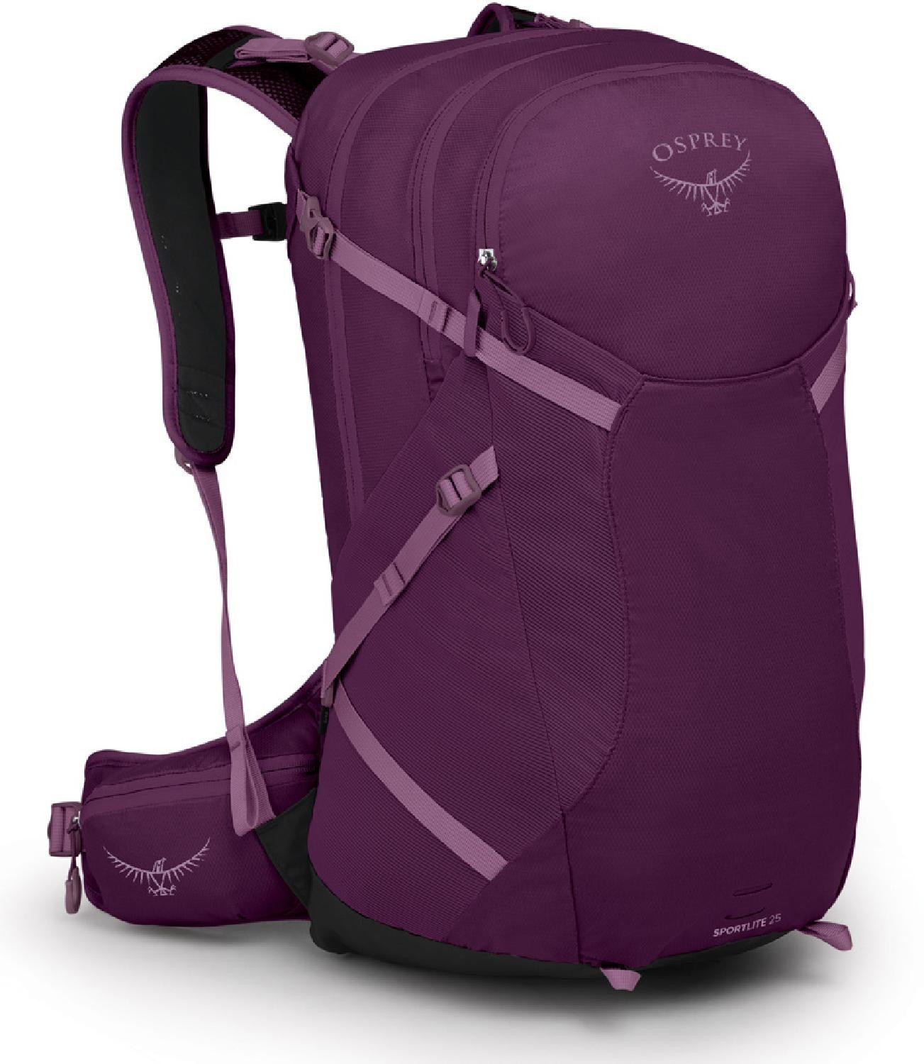 Osprey Sportlite 25 Pack Purple M/L | REI