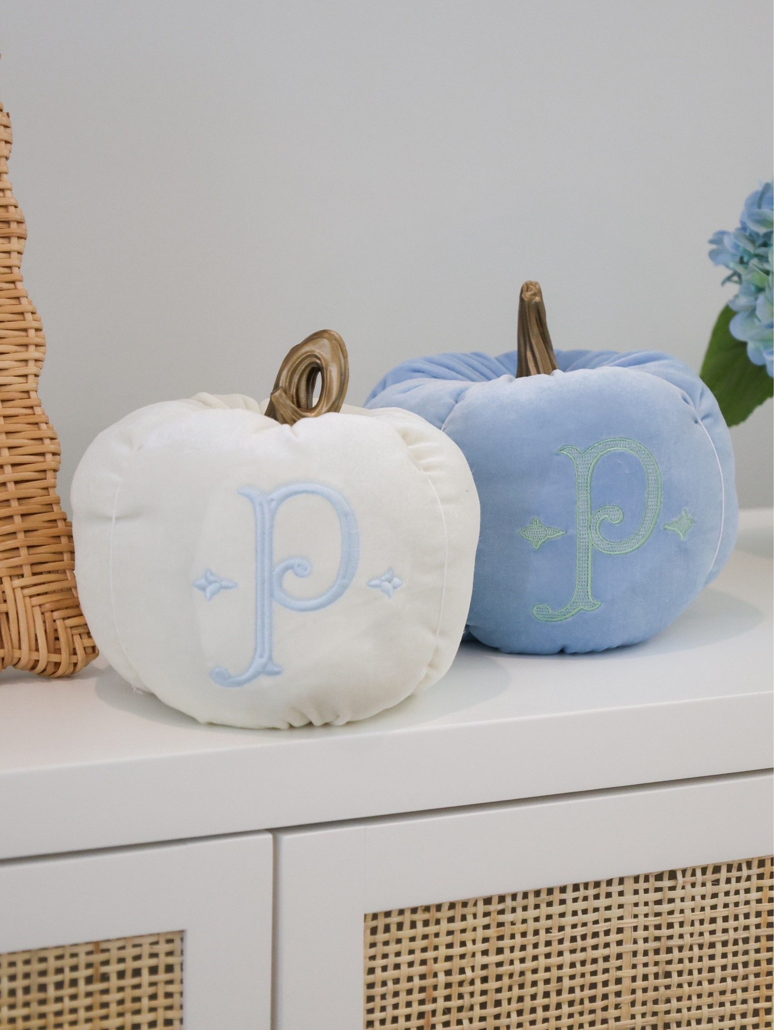 This is my kind of fall decor 😍 

Blue and white fall decor, Grandmillennial fall decor, blue and white pumpkins, monogram pumpkins

#LTKSeasonal #LTKHome