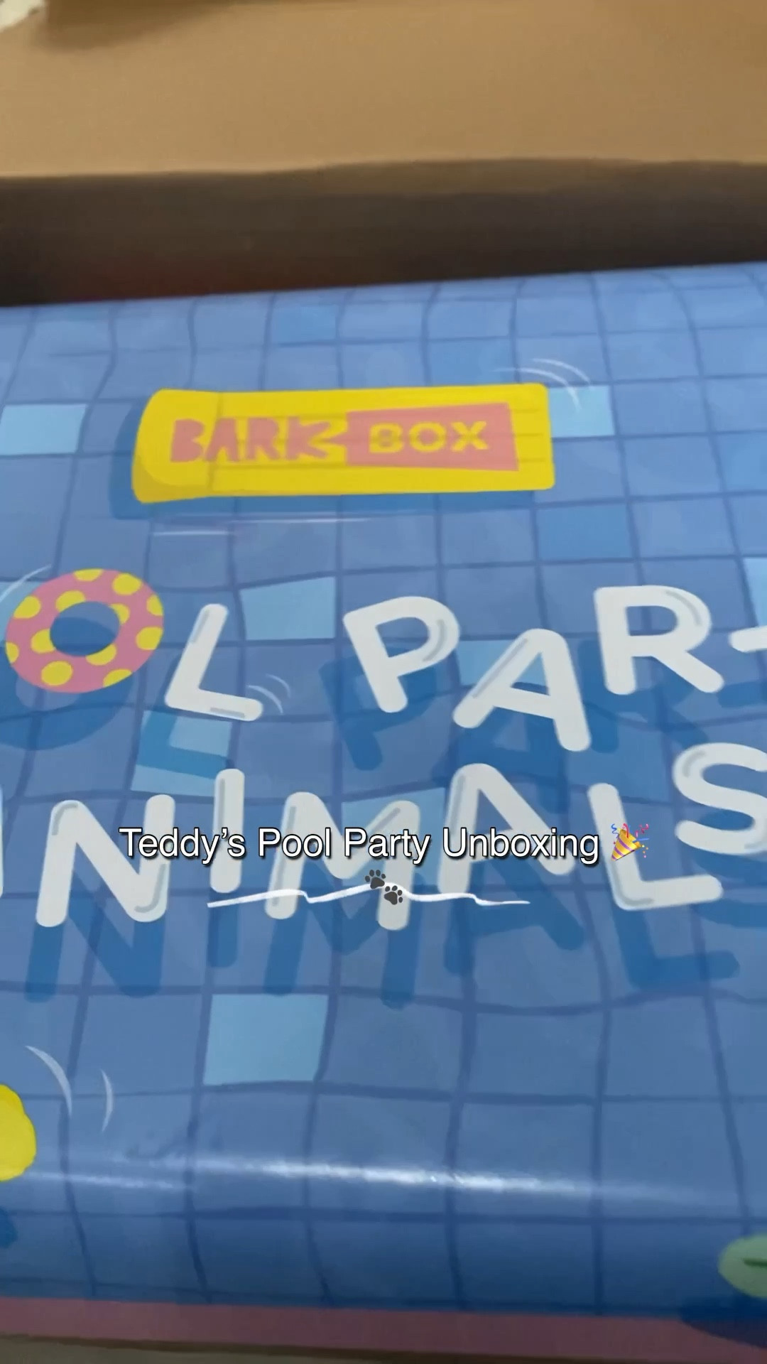 Teddy couldn’t wait to dive into his BarkBox pool party goodies 🐾💙 From squeaky toys to yummy treats, it’s always a tail-wagging surprise. Perfect way to spoil your pup or gift another dog lover! Shop the BarkBox favorites linked here ⬇️ #LTKpets #DogMom #BarkBoxUnboxing #PetLoverGifts #BarkBox #DogUnboxing #PetParents #LTKpets #DogMomLife #SpoiledPup #DogTreats #PetToys

#LTKSeasonal #LTKFallSale #LTKPets