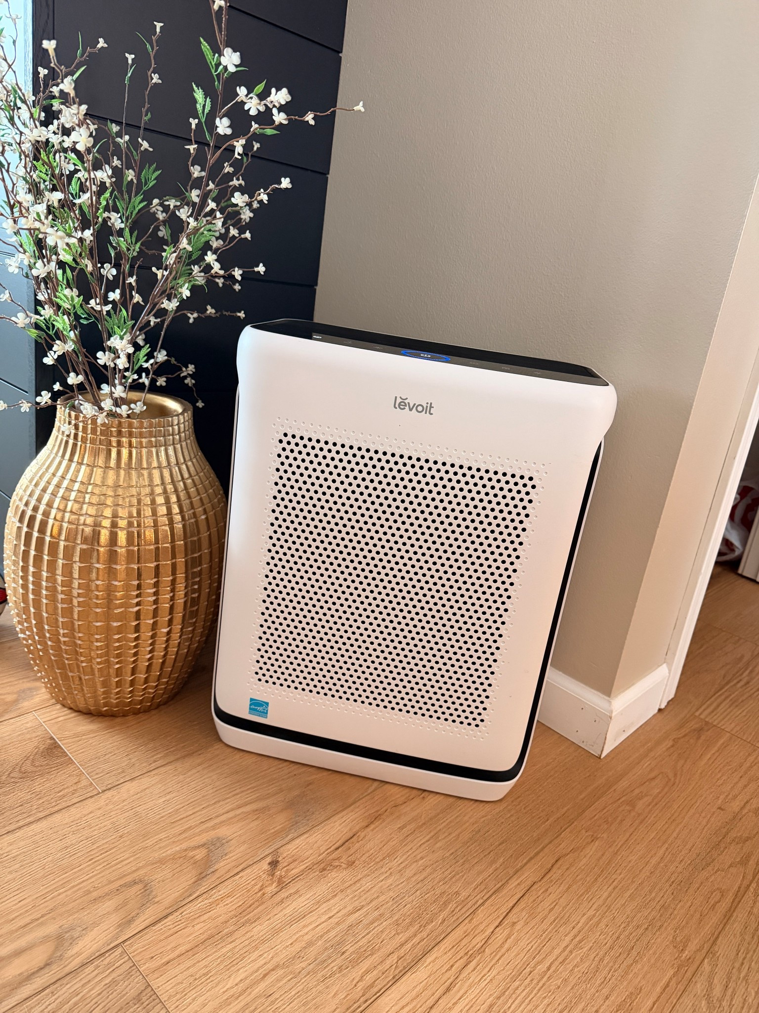 Every house needs one! The amount the junk this air purifier takes out of the air is insane 

#LTKHome #LTKselfcare