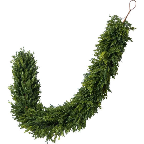 Green Boxwood Garland | Maisonette