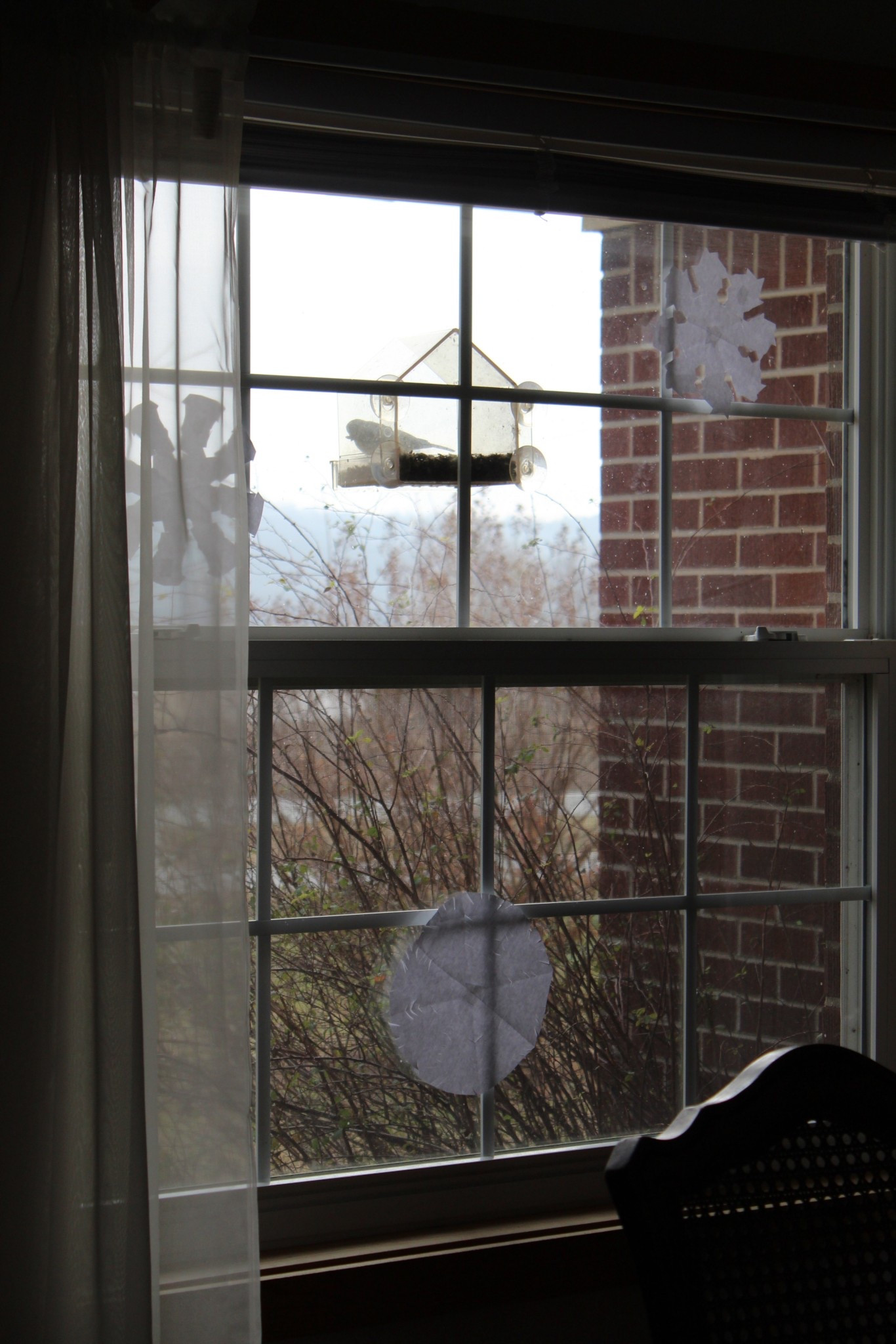 Spending all winter, cozied up to the window, bird watching. 

#LTKmorningroutine #LTKHome #LTKdayinmylife