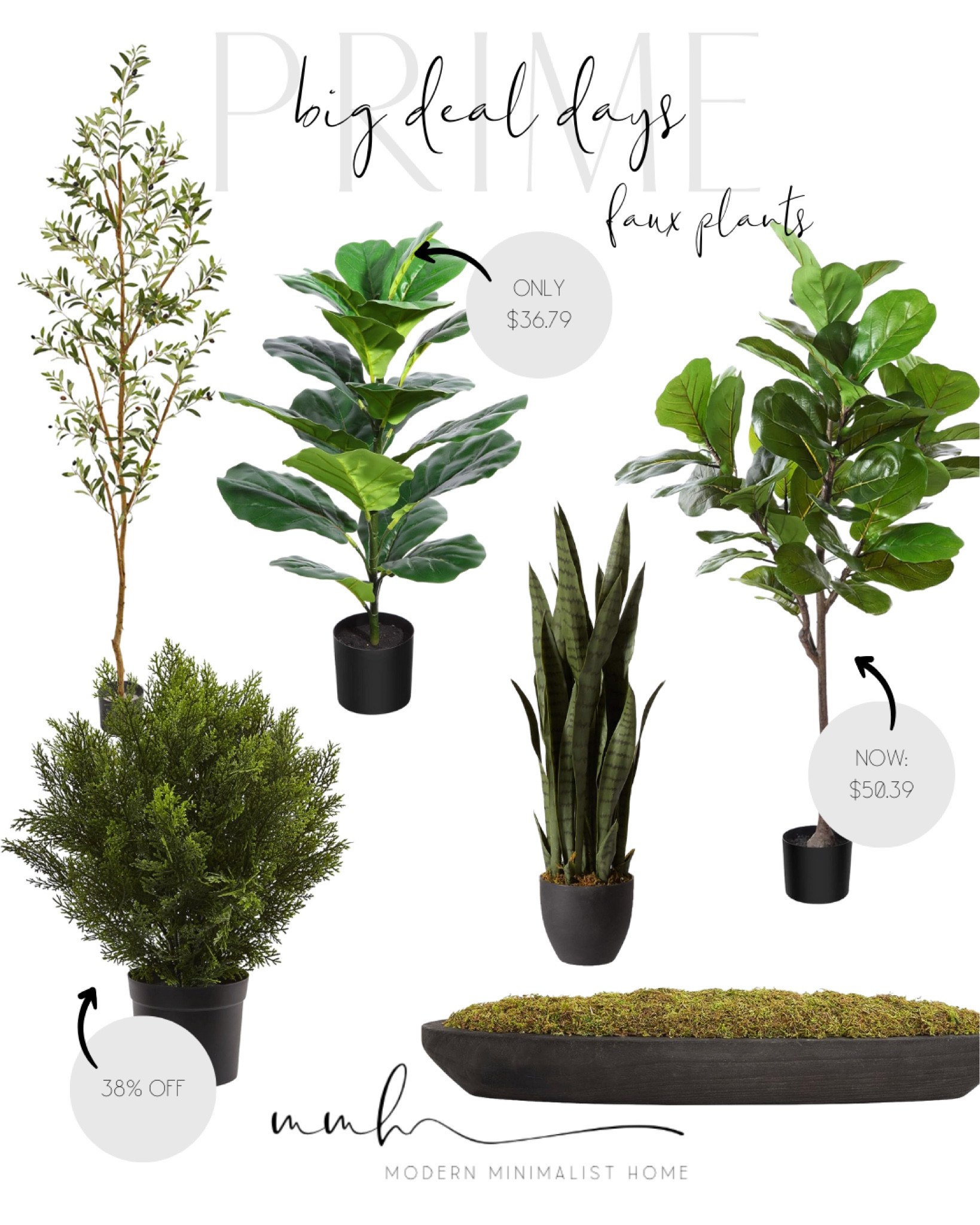 Amazon Faux Plants

Amazon Prime Big Deal Days // Amazon prime day // amazon prime deals // prime day // prime day deals // prime // Amazon home // amazon home finds // amazon home decor // home amazon // home decor amazon // home decor amazon // home decor 2023 // amazon home decor // home decor // modern home decor // decor // modern home // modern minimalist home // home //

#LTKsalealert #LTKhome #LTKxPrime