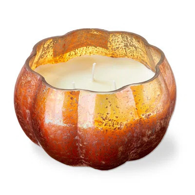 Harvest Pumpkin Candle Short | Wayfair North America