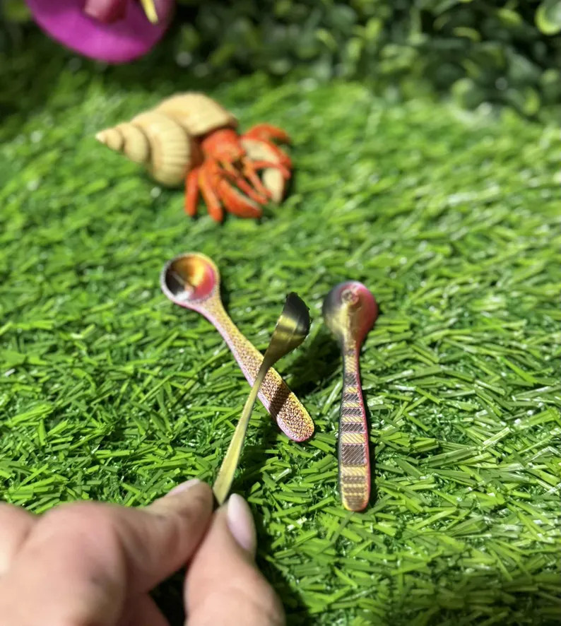 Hermit Crab Food Serving Spoon - Etsy | Etsy (US)