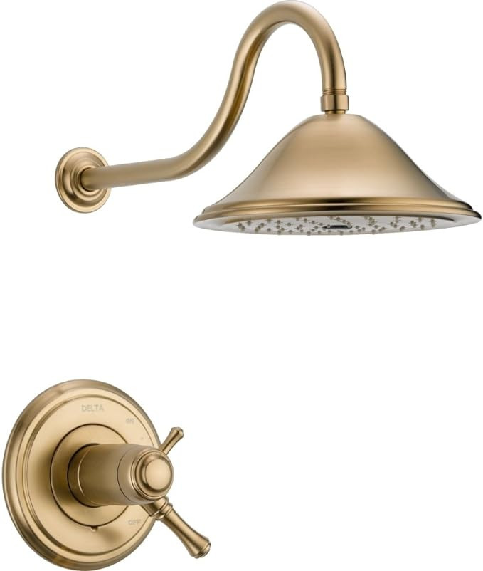 Delta Faucet Cassidy 17T Series Dual-Function Shower Trim Kit with Single-Spray Touch-Clean Showe... | Amazon (US)