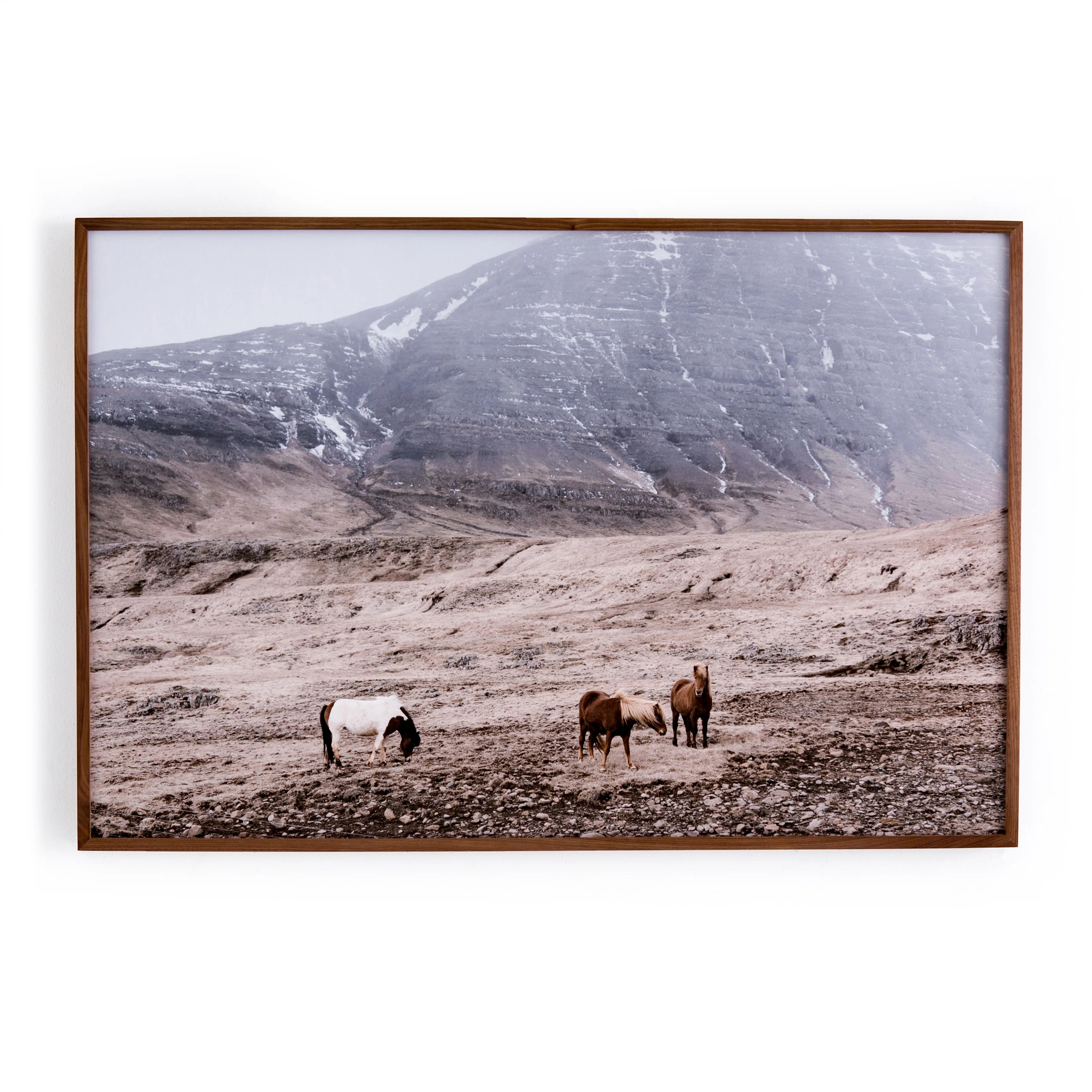Agreement Between Things " Wild Horses " by Fh Art Studio | Wayfair North America
