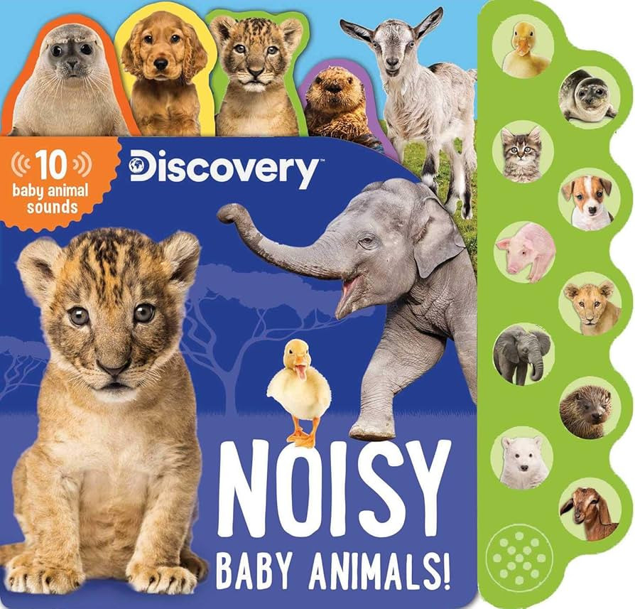 Discovery: Noisy Baby Animals! (10-Button Sound Books) | Amazon (US)