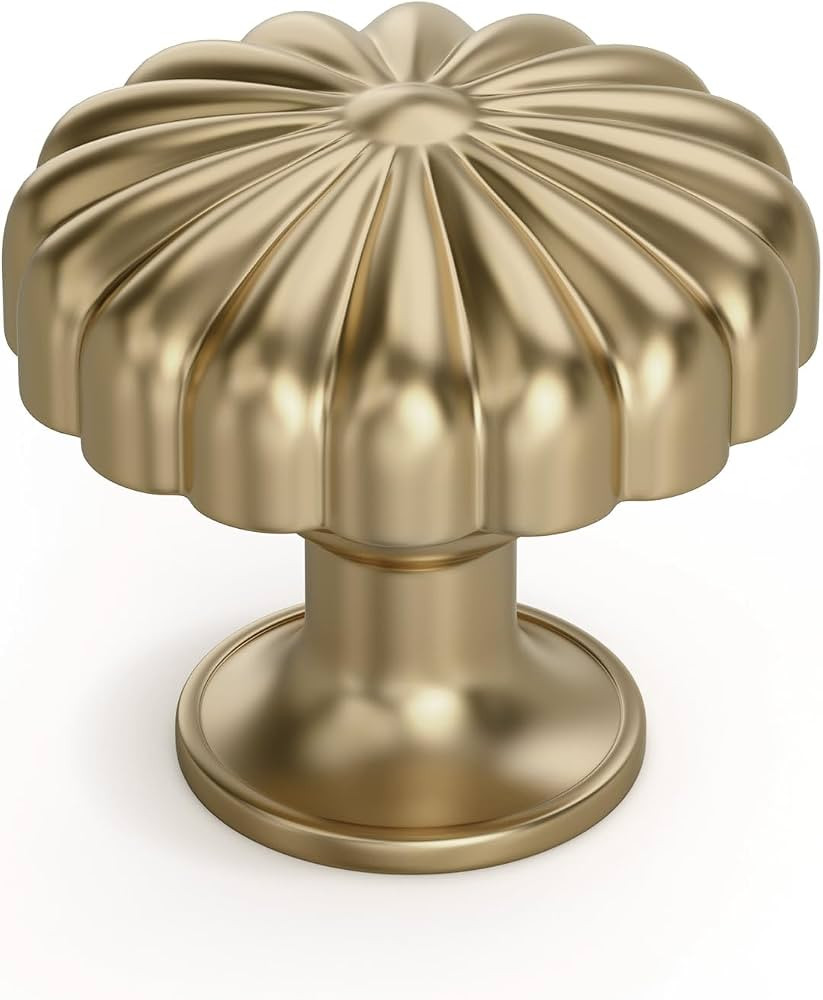Goldenwarm 15 Pack Champange Bronze Kitchen Cabinet Knobs for Dresser Drawers Knobs, Zinc Handles... | Amazon (US)