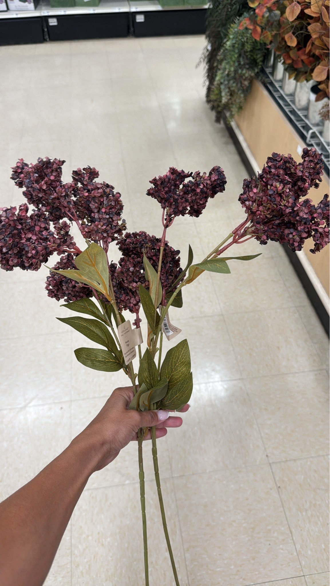 Fall stems I found today on errands! 
Burgundy hydrangea fall stem
The michaels stems are really good this season!!

#LTKSeasonal #LTKSaleAlert #LTKdayinmylife