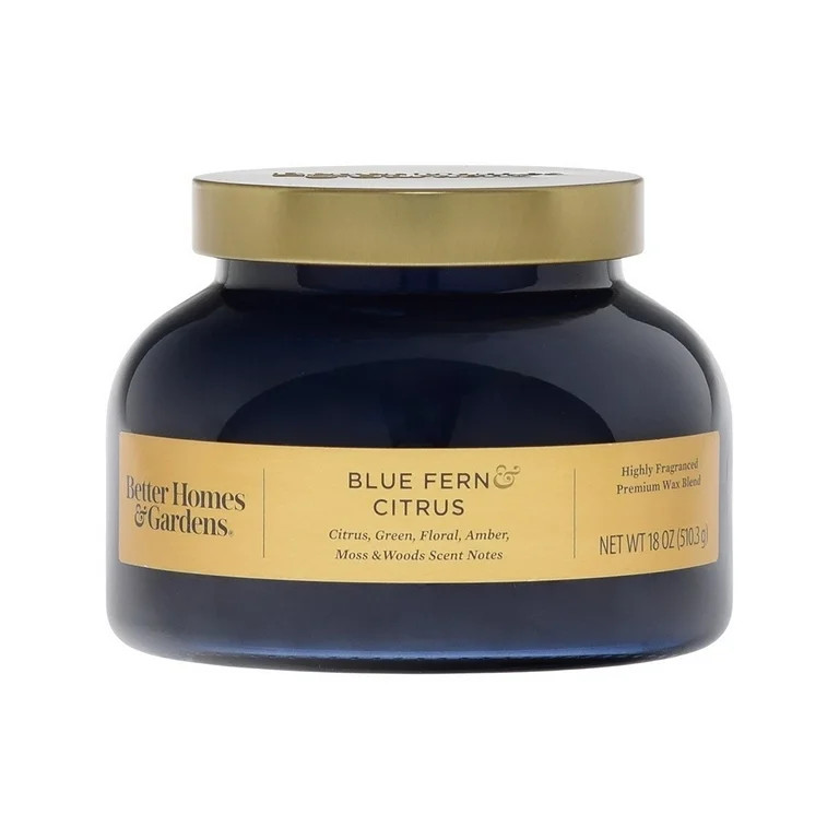 Better Homes & Gardens 18oz Blue Fern & Citrus Scented 2-Wick Shiny Bell Jar Christmas Holiday Ca... | Walmart (US)