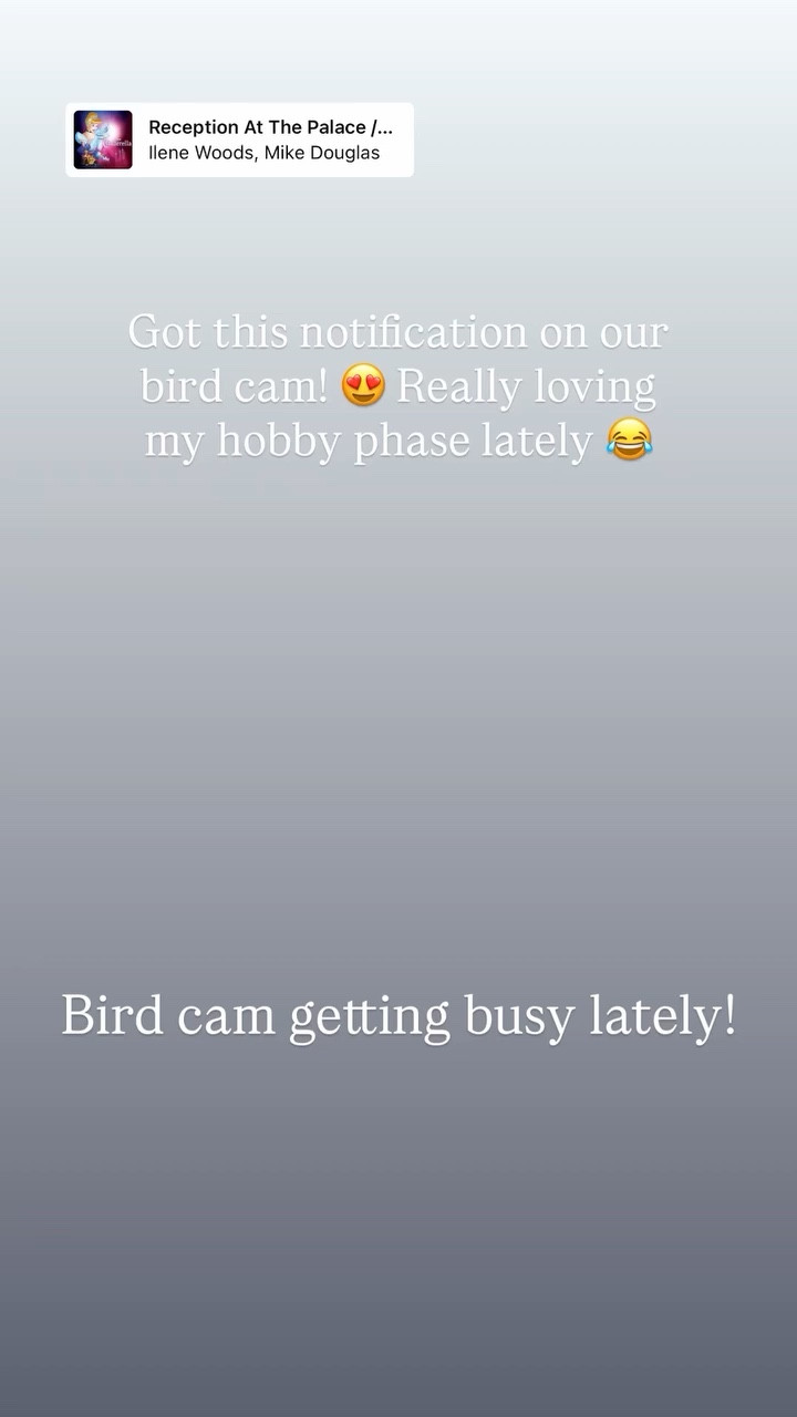Bird cam getting busy lately! Got this notification on our bird cam! 😍 Really loving my hobby phase lately 😂