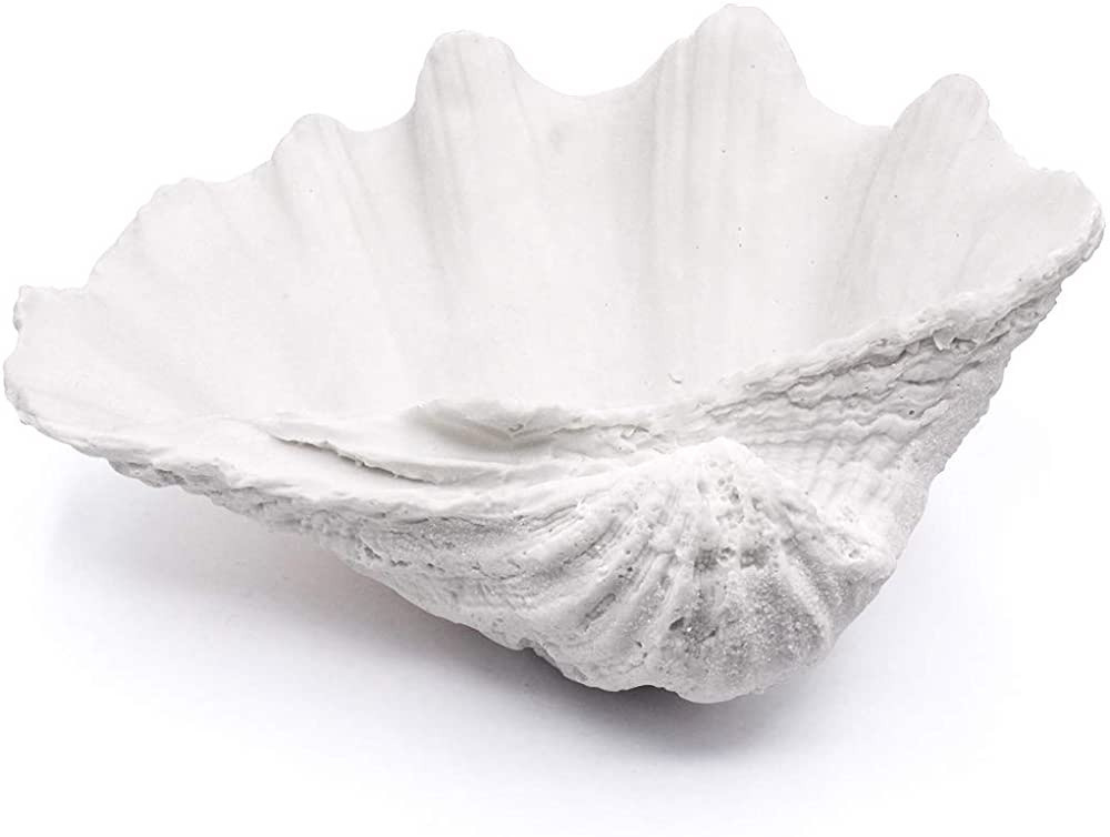 ALIWINER Seashell Bowl Resin Large Clam Shell Decor Nautical Clam Shell Bowl Coastal Beach Home D... | Amazon (US)