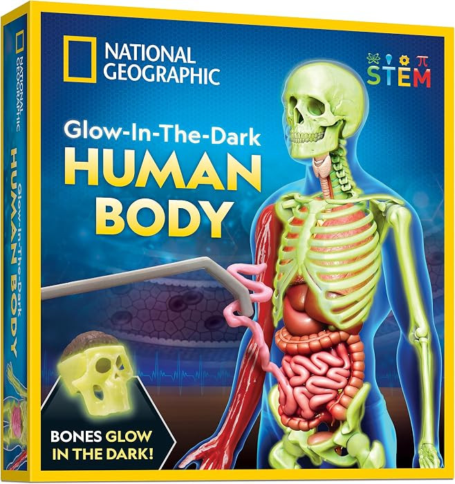National Geographic Human Body Model for Kids 32-Piece Anatomy Set | Amazon (US)