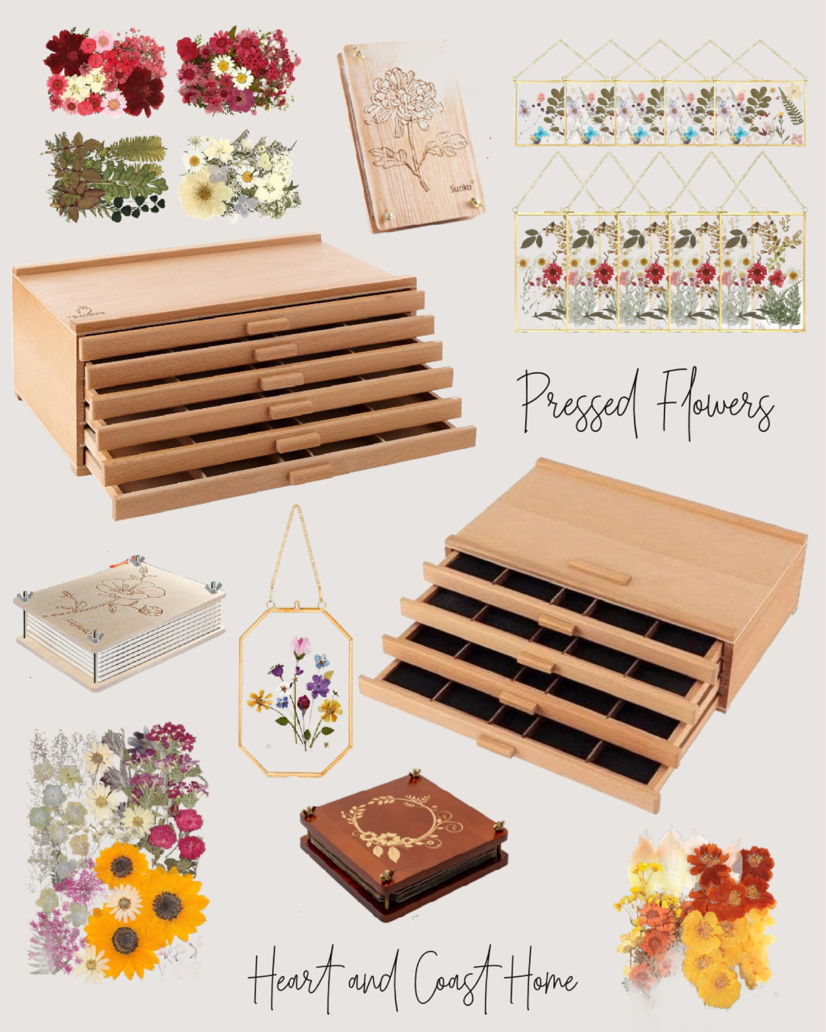 Pressed flowers supplies and storage for crafts and artwork.

Nature Gift Guide 

#LTKfindsunder50 #LTKhome #LTKGiftGuide
