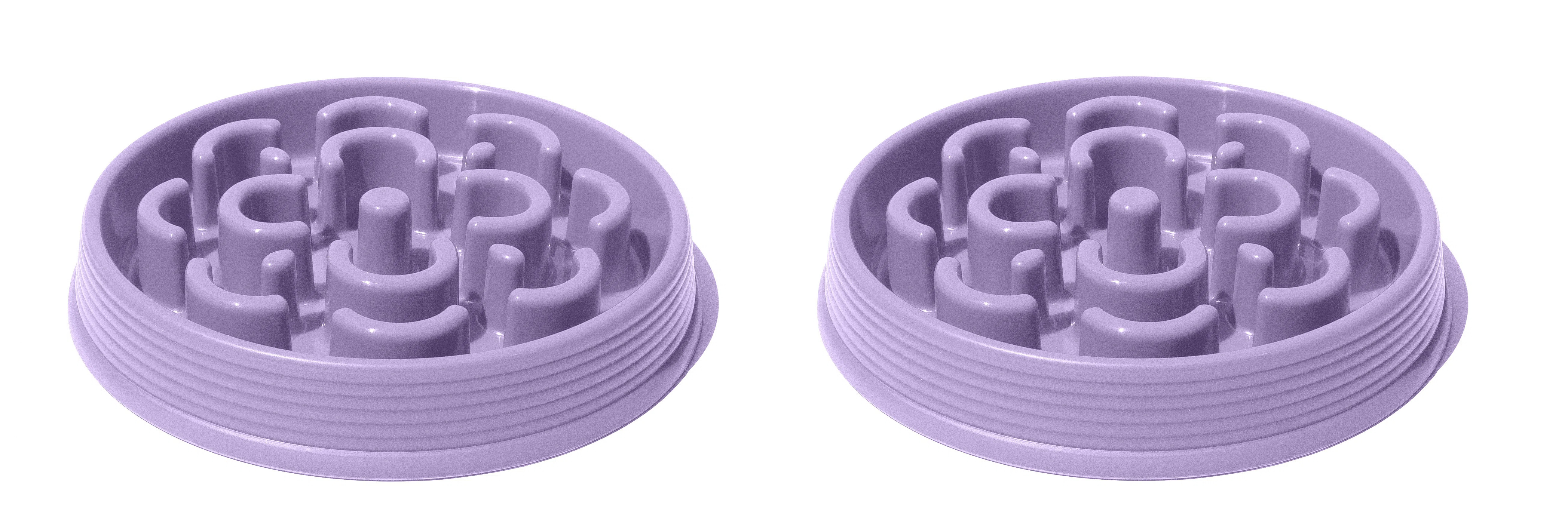 Slow Chow Medallion Polypropylene Slow Feeder | Wayfair North America