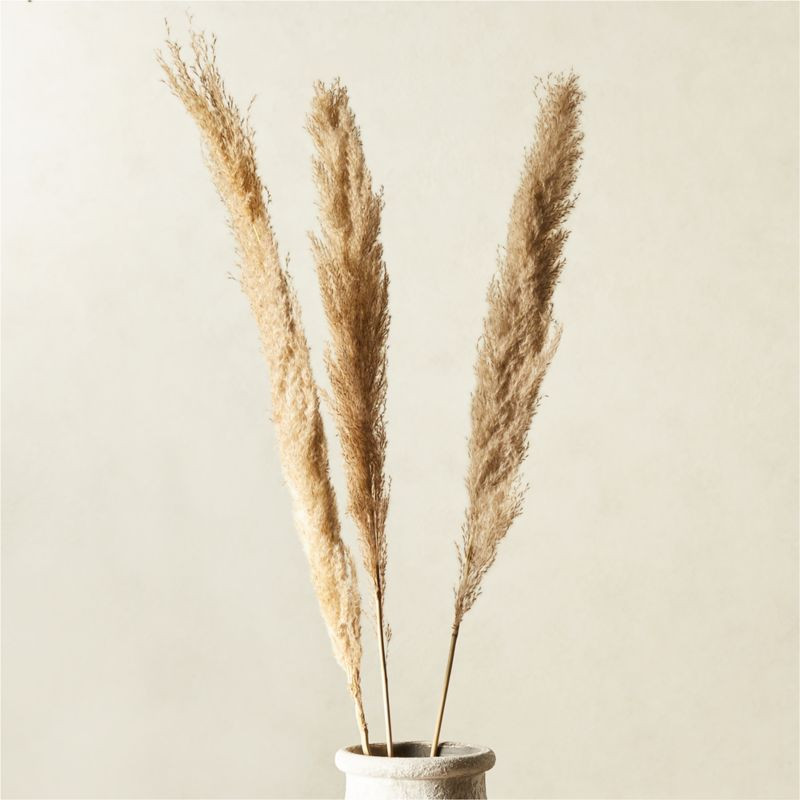 Feather Grass Stem Set of 3 + Reviews | CB2 | CB2