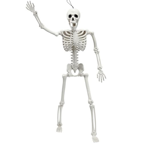 JOYIN 24" Halloween Posable Skeleton Decoration, Full Body Plastic Bone with Movable Joints, Hanging Plastic Bones for Halloween Party DecorPhoto Prop Indoor Outdoor(White, 1 pcs) | Amazon (US)