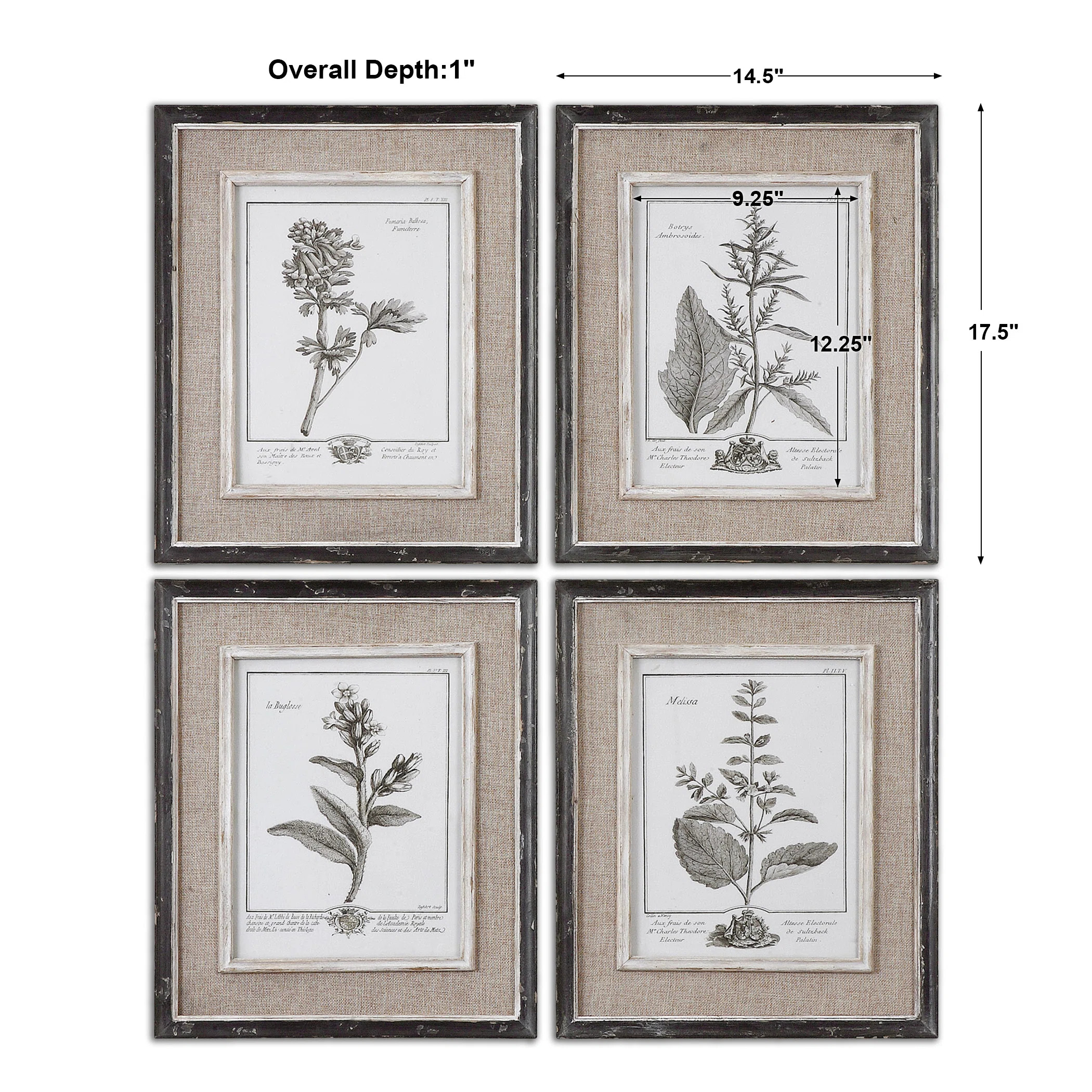 Greyleigh™ Ladouceur by Grace Feyock - 4 Piece Picture Frame Print Set on Paper & Reviews | Way... | Wayfair North America