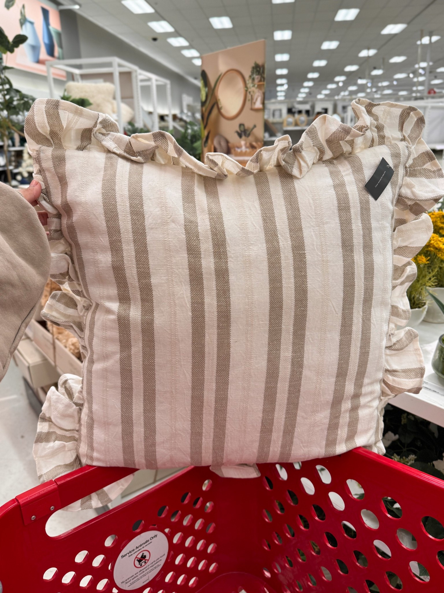 new ruffled pillows 

target spring arrivals, home decor, spring refresh 

#LTKHome #LTKFindsUnder50