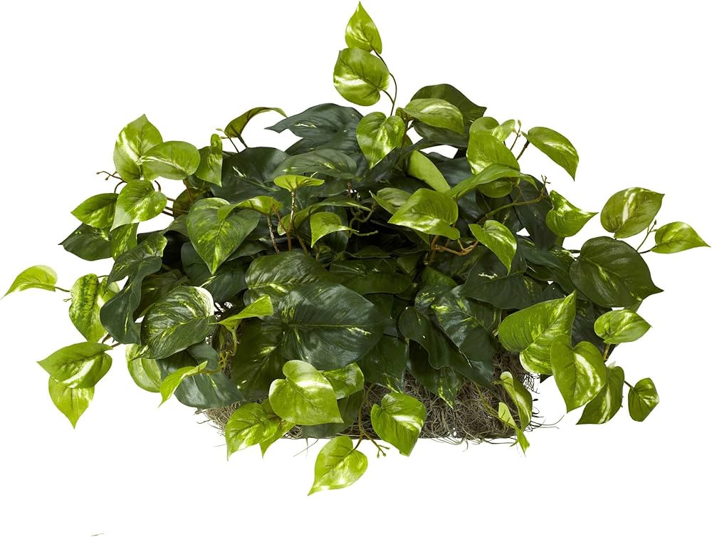 Nearly Natural 15in. Pothos Ledge Plant (Set on Foam) Silk Plant,Green | Amazon (US)
