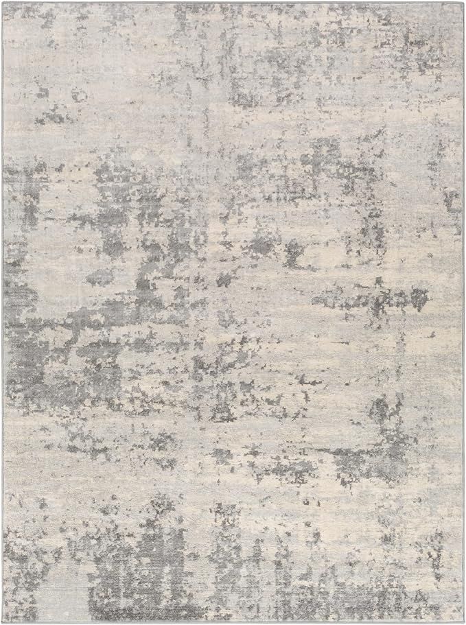 Artistic Weavers Doria Modern Abstract Area Rug,8'10" x 12'3",Silver Gray | Amazon (US)