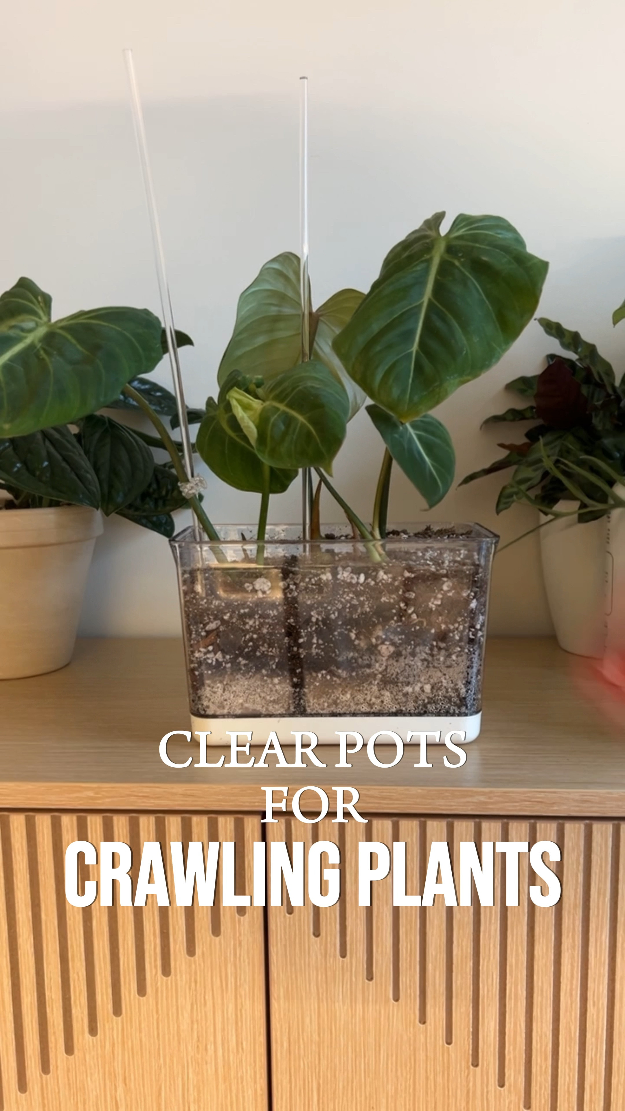 There’s a coupon for 40% off which makes them under $9 for 2!

#LTKsalealert #LTKhome