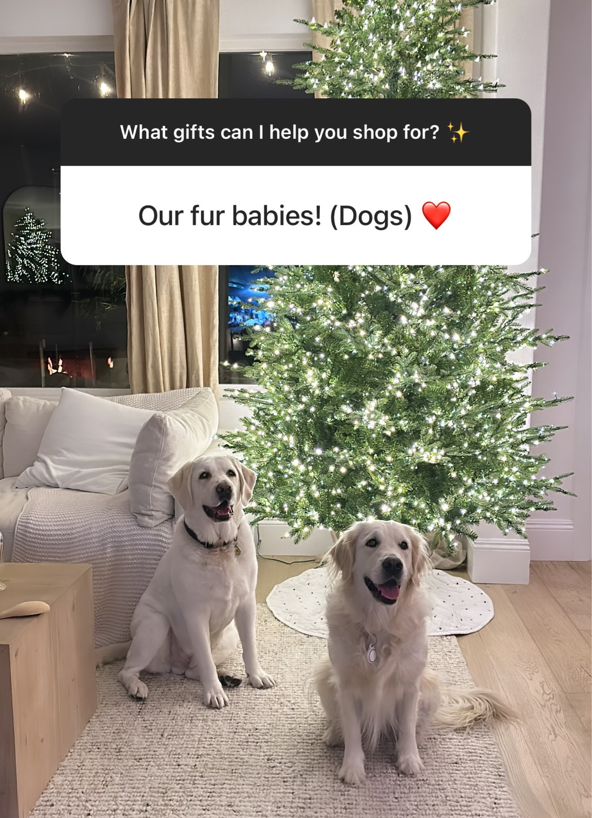 Gifts for the pups!✨ #stylinbyaylin

#LTKGiftGuide #LTKHoliday #LTKCyberWeek