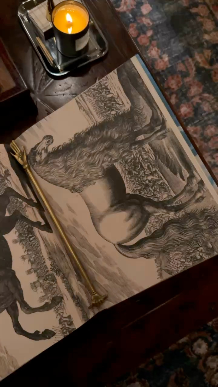 PSA: Not all Halloween decor needs to be over the top. I just pulled items from around my house and found an eerie image in my favorite coffee table book (John Derian Picture Book) to create a subtle nod to Halloween. I shared all of my tips on ChrisLovesJulia.com in this blog post: "Create an Elegant, Spooky Vibe with Decor You Already Own" 

 

#LTKSeasonal #LTKHome #LTKStyleTip