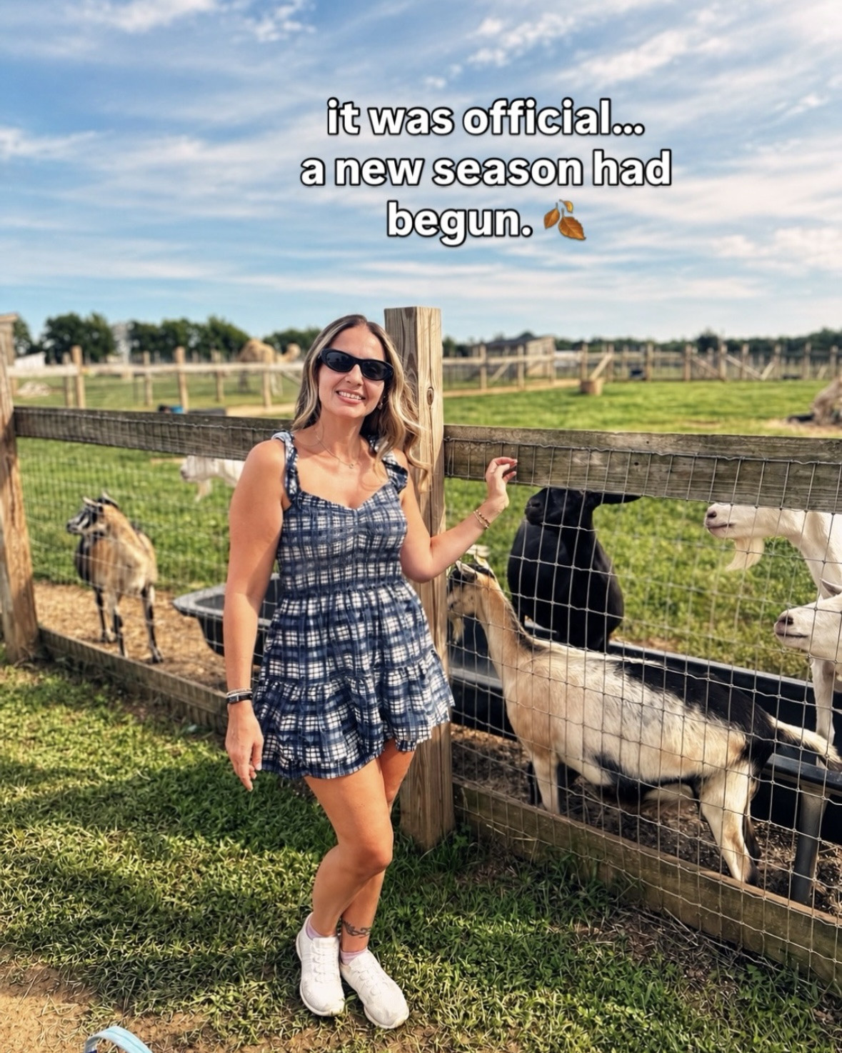 It’s official a new season of Fall is upon us ( except it’s still super hot in NYC ) 😆 transition dress under $15!

#LTKdayinmylife #LTKSeasonal #LTKSaleAlert