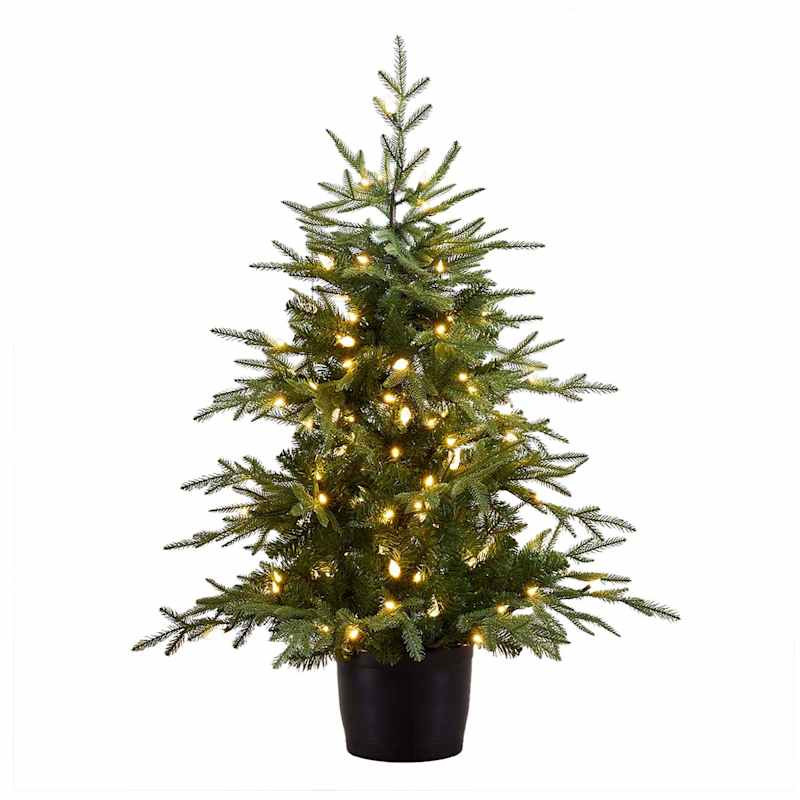 Pre-Lit LED Potted Bradford Spruce Christmas Tree, 4' | At Home