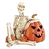 National Tree Company Skeleton and Jack O' Lantern Decoration, LED Lights, Halloween Collection, 9 i | Amazon (US)