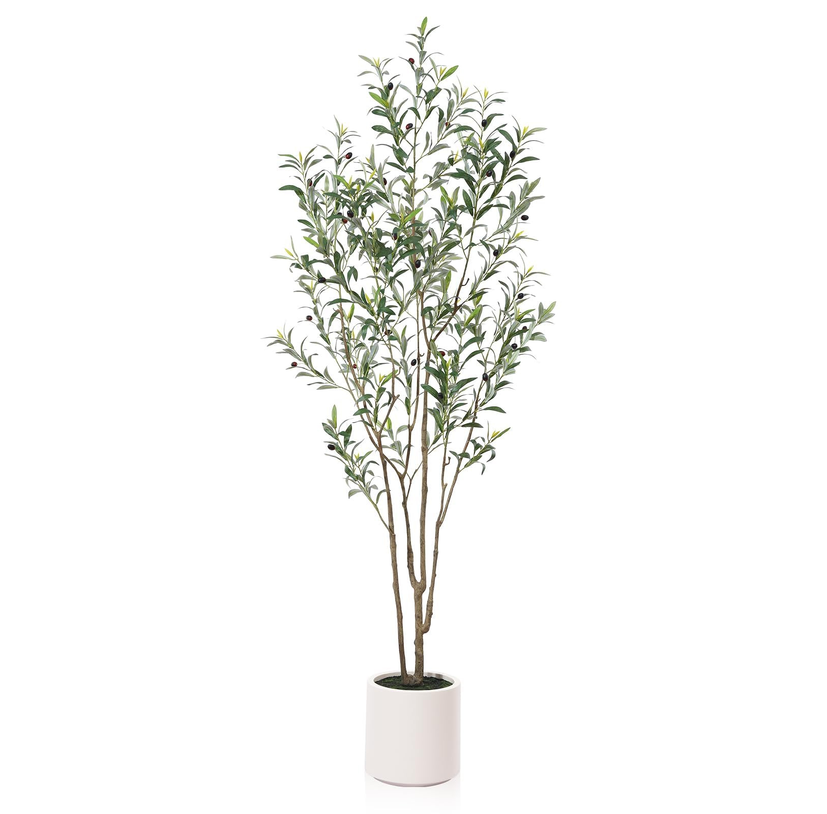 LOMANTO Artificial Olive Trees, 7 ft Tall Fake Olive Trees for Indoor, Faux Olive Silk Tree, Larg... | Amazon (US)